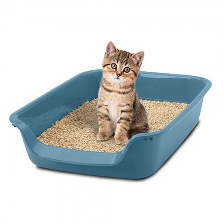 Caixa de areia para gatinhos juniores