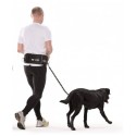 Cinturón con correa para perro Active Walker XL