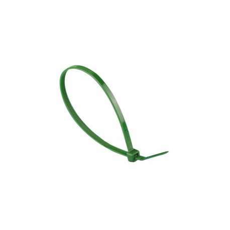 Brida nylon verde 2.5 x 100 mm - 100 pzas