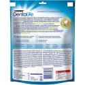 Purina Dentalife golosina dental para Perro Extra MINI, 5 paquetes de 21 sticks, 5x207 gramos