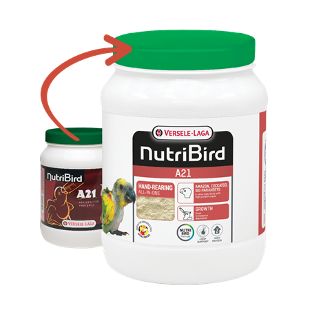 Nutribird A21 - Papilla de cría para aves 800 gr