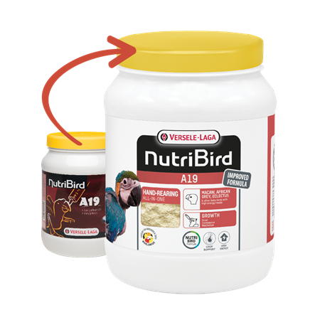 Nutribird A19 - Babynahrung für Aras, Graupapageien und Edelvögel 800 gr