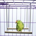 Columpio recto para jaula de pájaros