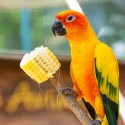Snacks und Leckereien für Vögel