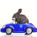 Transport voor kleine dieren